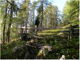 Planina Ravne - Kapelica na Molički planini